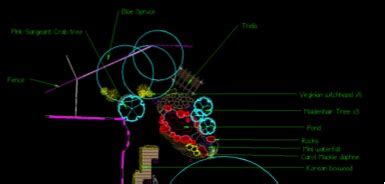 Basic DynaSCAPE Functions 的图像结果