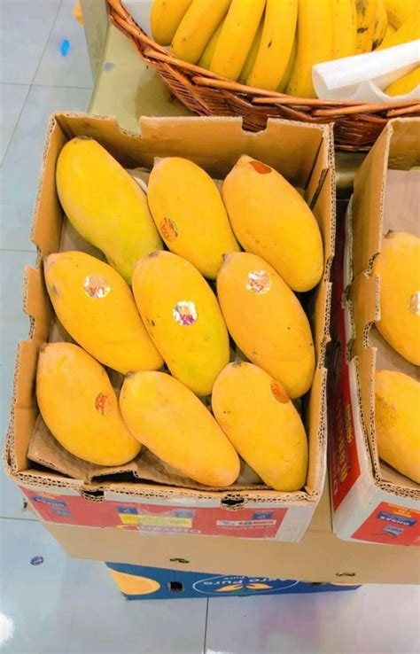 Most Expensive Mango 的图像结果
