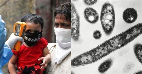 Legionnaires Disease Risk May Rise As Businesses Reopen After Weeks Of ...