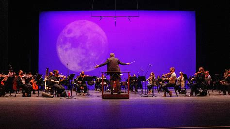 Palm Beach Symphony returns to full performances in November