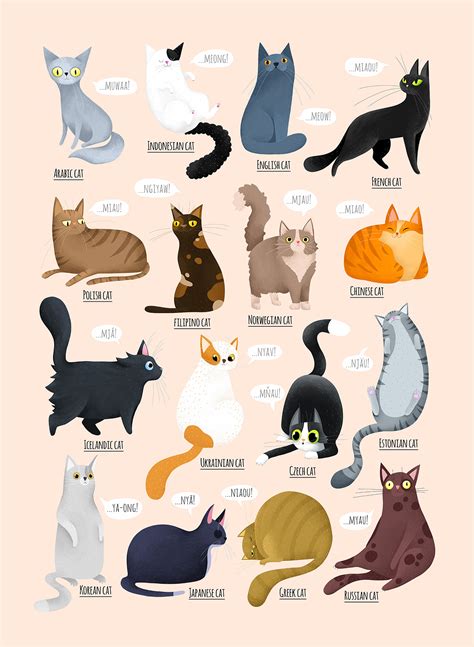 What does the cat say? :: Behance