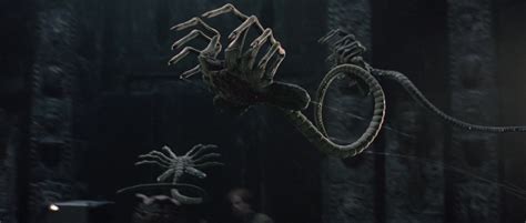 Alien vs Predador 的图像结果