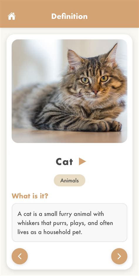 Kids Dictionary - Learn Words Through Play