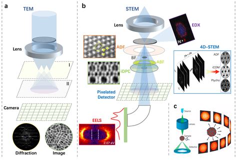 图 1. PEN 研究中涉及的 TEM 技术