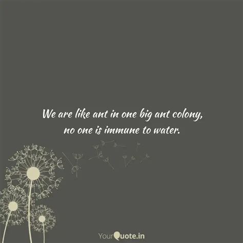 We are like ant in one bi... | Quotes & Writings by Sidd Arthan | YourQuote