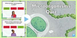 Microorganisms Worksheet - Primary Resources