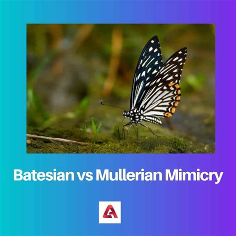 Mimetismo batesiano x mulleriano: diferença e comparação