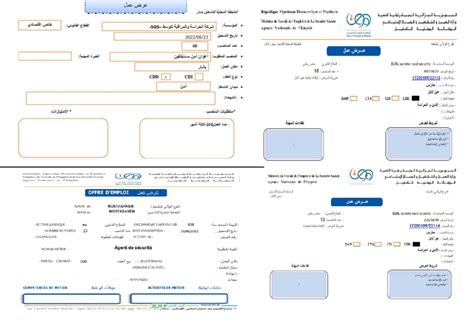 شركات متخصصة تبحث عن أعوان أمن للتوظيف بهذه الولايات - خدمة نيوز