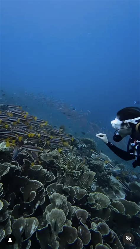 12 Potret Gisel Liburan di Raja Ampat, Pesona Sunset & Snorkelingnya ...