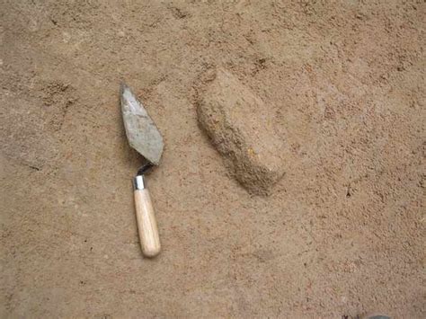 Image result for Chimps Using Sticks for Tools