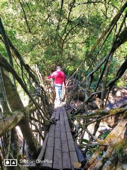 Cherrapunjee & Dawki Road Trip from Shillong (Updated)