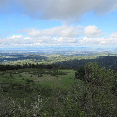 Windy Hill Open Space Preserve (2025) - All You Need to Know BEFORE You ...