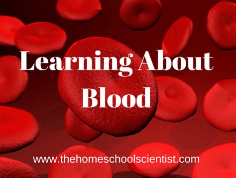 Free Science Lessons Blood 的图像结果
