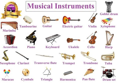 Image result for percussion instruments