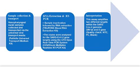 RT-PCR Test Procedure 的图像结果