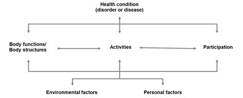 Image result for ICF Body Structures
