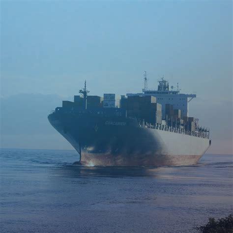 Extension of the implementation related to the Bill of Lading. - TP Legal