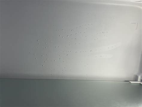 Danby Fridge continues to leak water from the inside : r/Costco