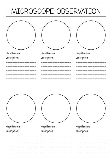 Image result for Free Science Lessons How Microscope Can Be Calibrated