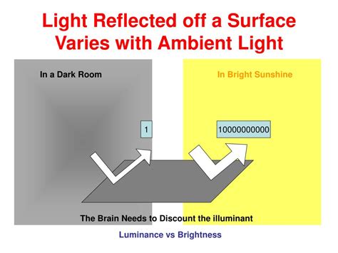 Image result for Visual Perception of Brightness