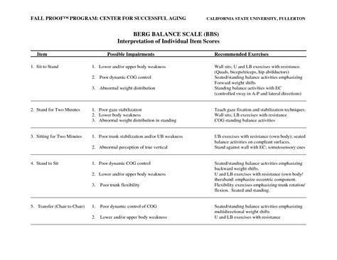Functional Balance Grades Physical Therapy