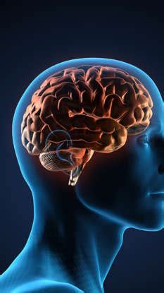 Image result for Sharp Memory Examples