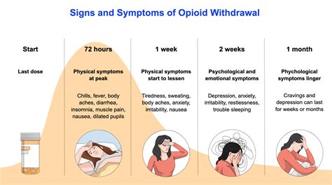 Signs and Symptoms of Opioid Withdrawal - Infographic templates