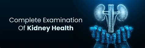 Kidney Health: Key Strategies and Dialysis Choices