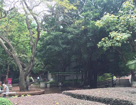 WAN CHAI PARK - All You Need to Know BEFORE You Go 2026 (with Photos ...
