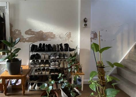 Damp Proofing Slurry 的图像结果