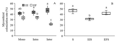 Removal of Soil Microbes Alters Interspecific Competitiveness of ...