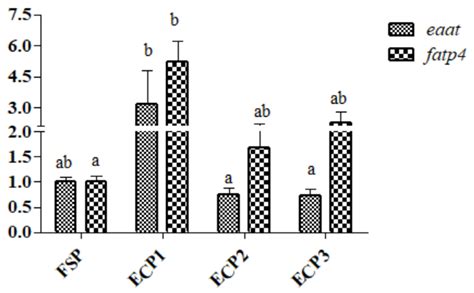 Enzymatic Chicken Pulp Promotes Appetite, Digestive Enzyme Activity ...