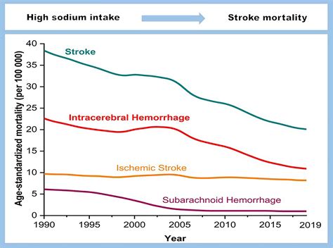 Different Changing Patterns for Stroke Subtype Mortality Attributable ...