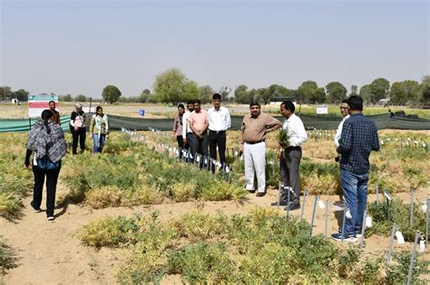 SKN College of Agriculture, Jobner | SKN College of Agriculture, Jobner