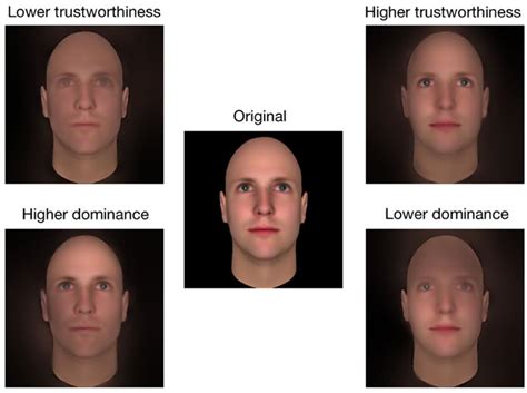 Perception Image Man Face 的图像结果