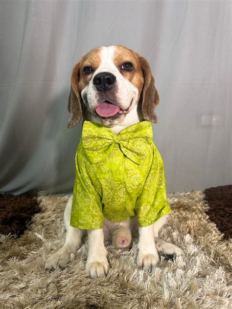 Lime Green Shirt with Bow – Siva