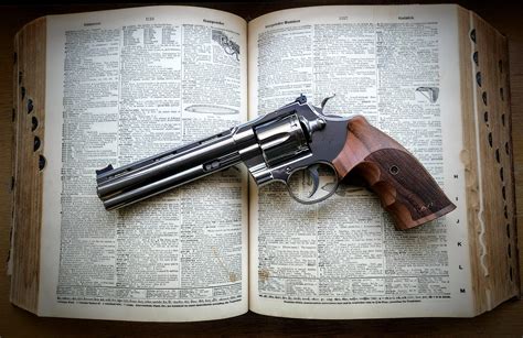 Image result for 2020 Python Revolver