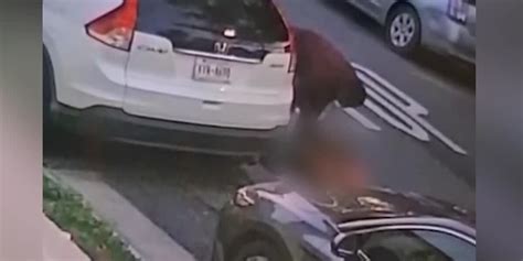 GRAPHIC: Man accused of dragging motionless dog, setting it on fire