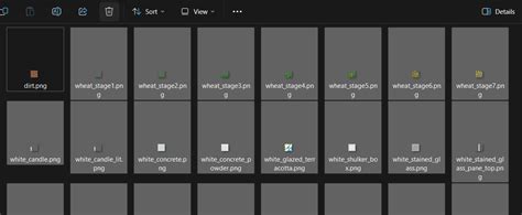 Steps for Making a Texture Pack Java 的图像结果