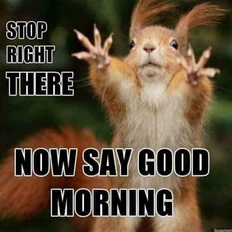 Pin by Mrs. Monroe🎀 on Business Quotes | Funny good morning images ...