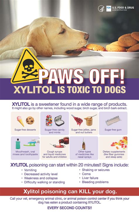 Symptoms Of Xylitol Poisoning In Dogs