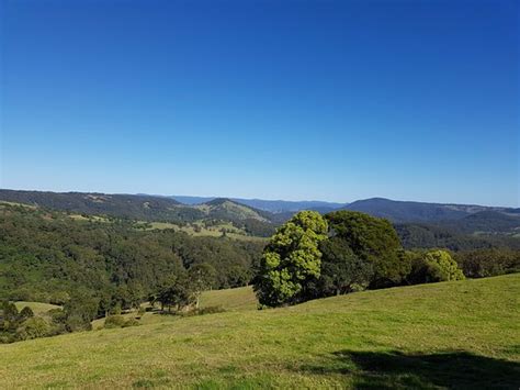 HUNCHY HIDEAWAY - Ranch Reviews, Photos, Rate Comparison - Tripadvisor