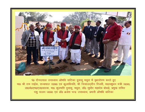 Pasture – duvasu mathura