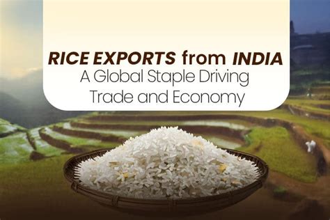 Rice Exports from India: Driving Global Trade & Economy - Credlix
