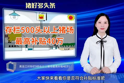 速看！有补贴可领！黑龙江对存栏500头以上猪场最高补贴40万_凤凰网视频_凤凰网