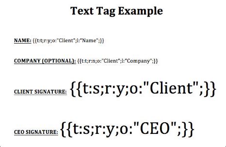 Image result for How to Add Text Custom Tags Studio Lite