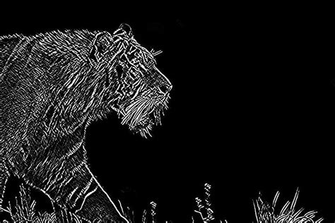 Image result for Edge Detection in Python by OpenCV