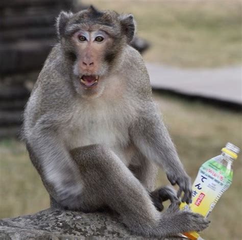 FEEDBACK – the not so good, the not so bad, the potential ugly