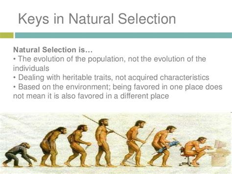 Image result for Natural Selection vs Evolution