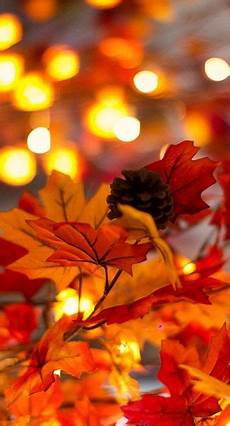 Pretty Fall Backgrounds With Lights by Siente Feel Texture Color Rojo Textura Pretty Fall Backgrounds With Lights